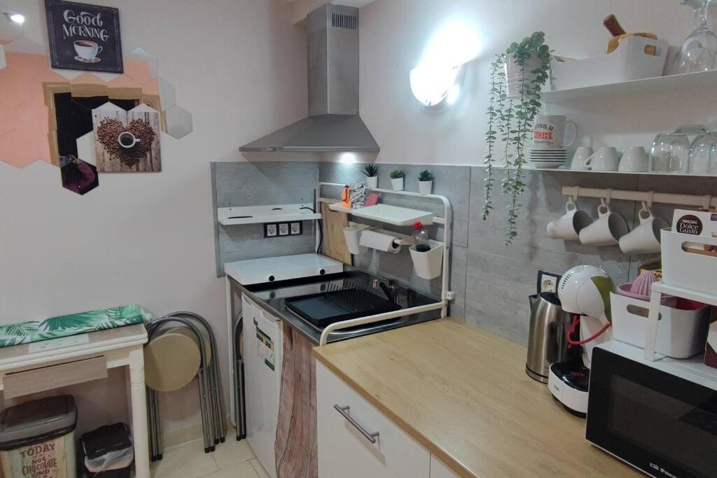 El Niuet De Cal Cacuet, La Teva Escapada Rural. Apartment Avia ภายนอก รูปภาพ