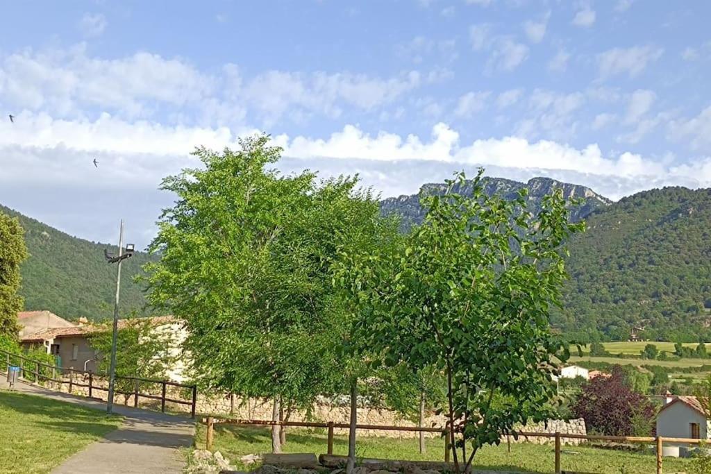 El Niuet De Cal Cacuet, La Teva Escapada Rural. Apartment Avia ภายนอก รูปภาพ