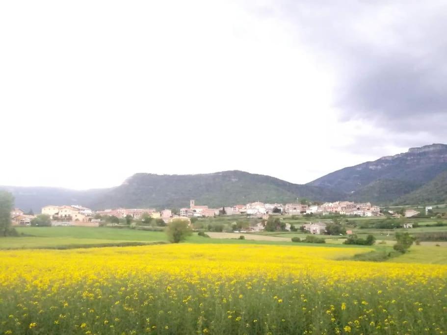 El Niuet De Cal Cacuet, La Teva Escapada Rural. Apartment Avia ภายนอก รูปภาพ